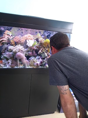 All About Fish - photo 3