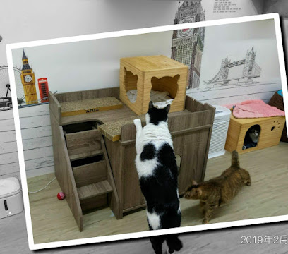 猫咚猫旅馆-板桥猫旅馆