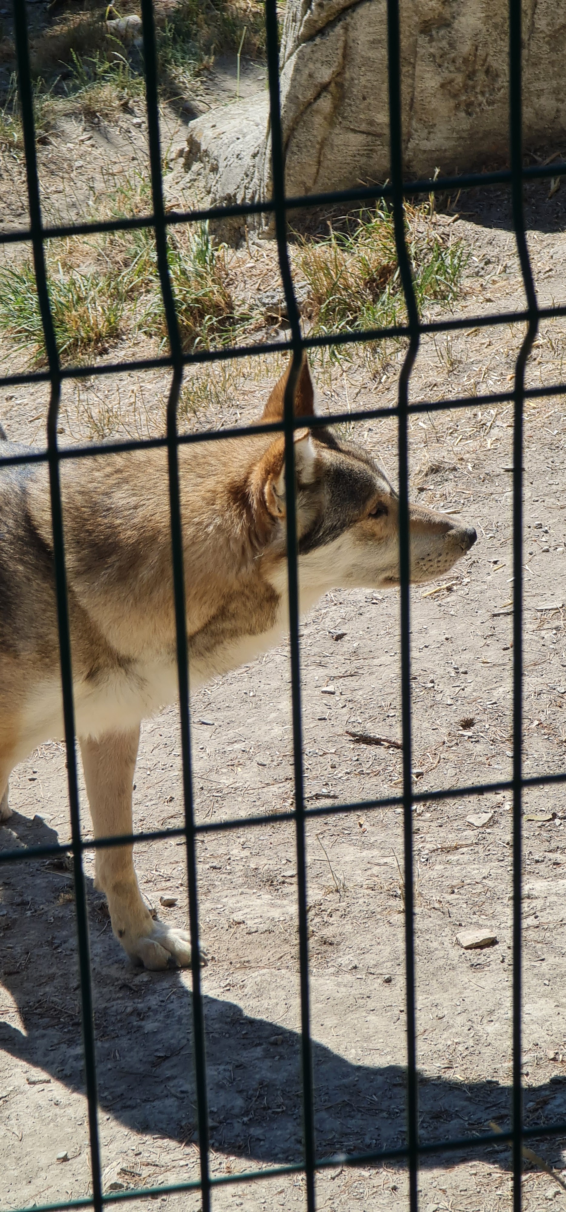Photo n° 3 de l'avis de Julie.a fait le 03/08/2019 à 12:47