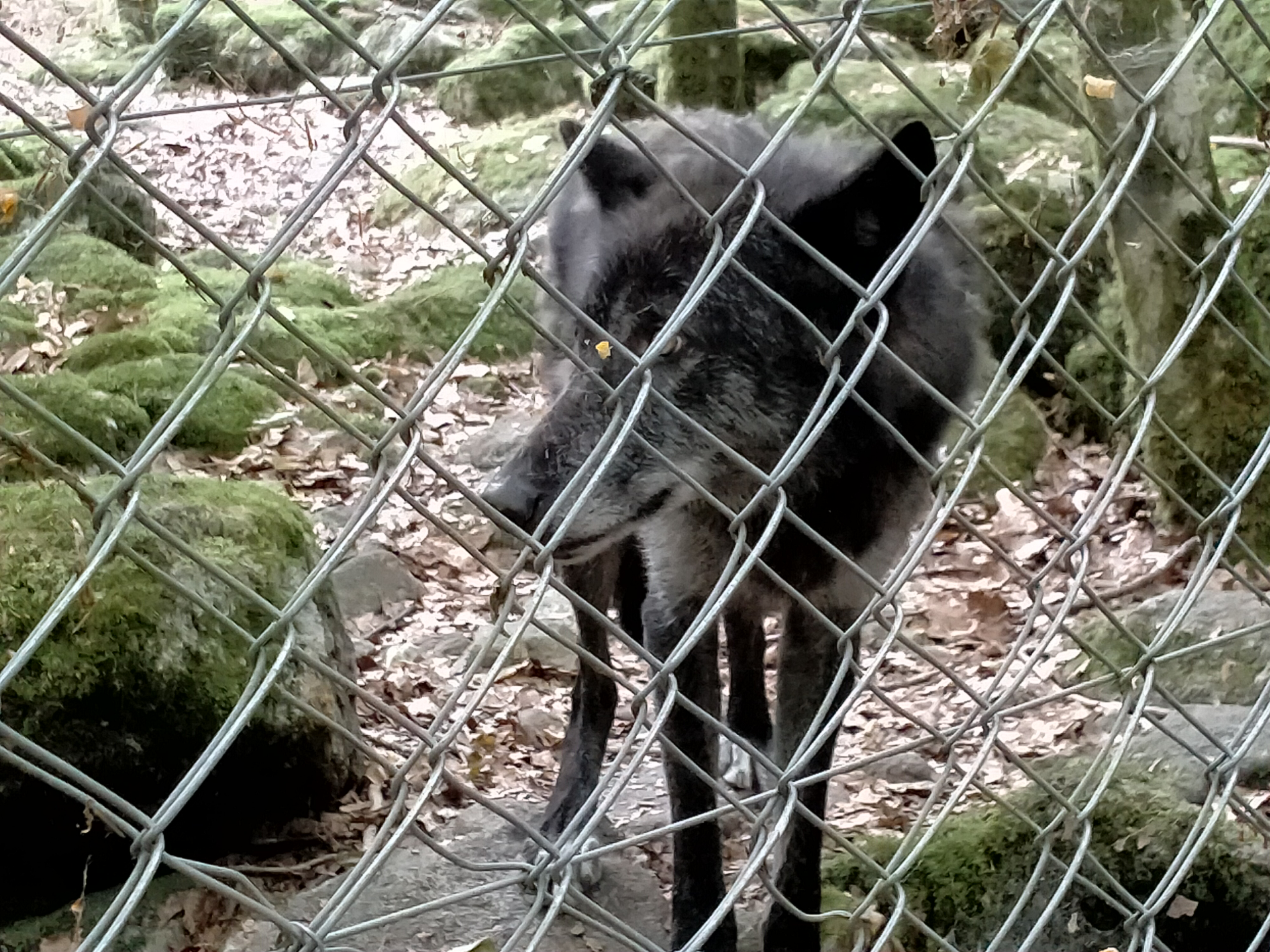 Photo n° 5 de l'avis de sebastien.a fait le 20/07/2022 à 13:52
