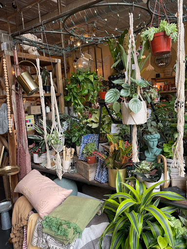 Florist «The Perfect Petal», reviews and photos, 3600 W 32nd Ave Ste B, Denver, CO 80211, USA