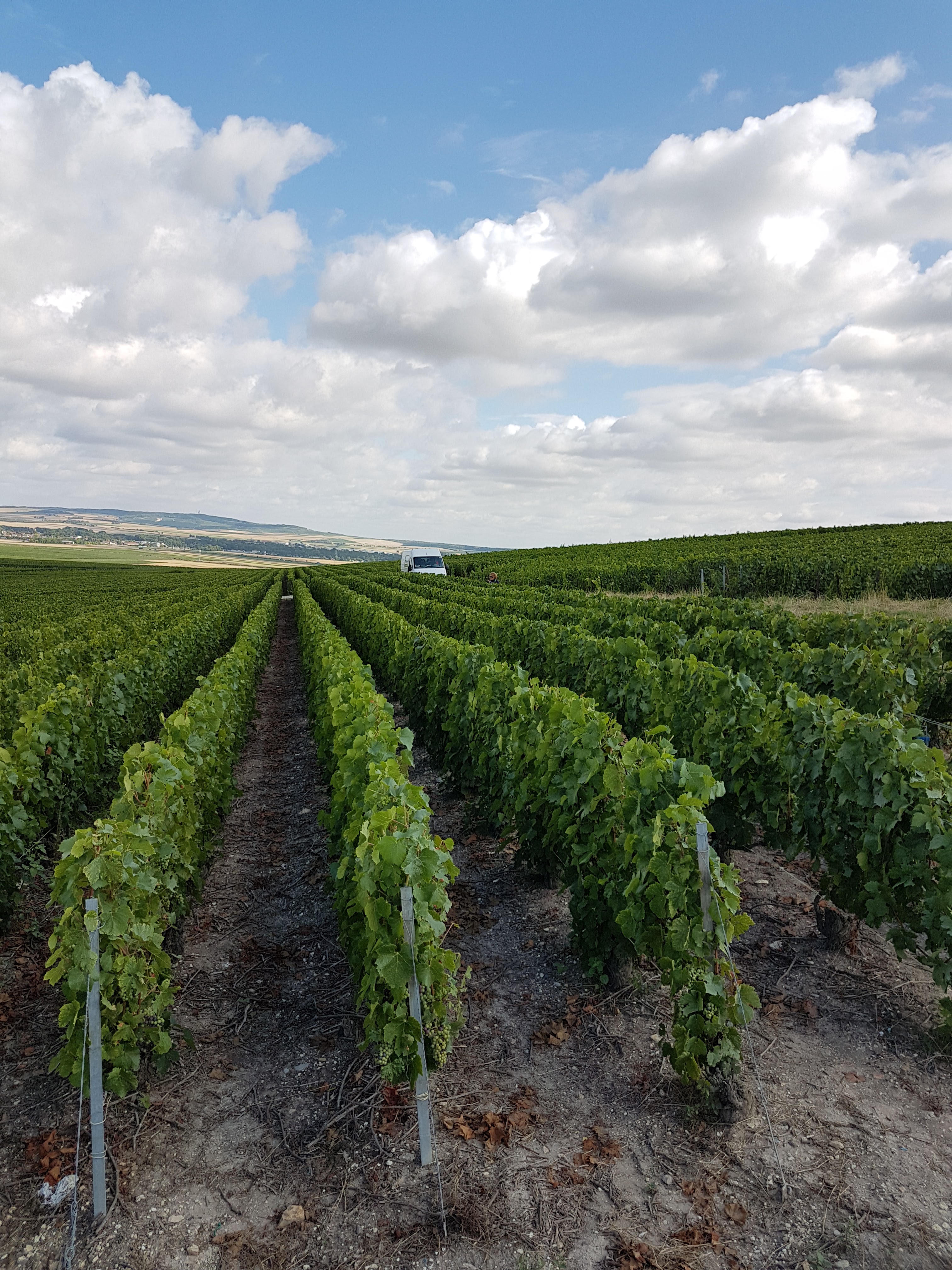 Photo n° 5 de l'avis de TWIN.A fait le 04/10/2019 à 14:05