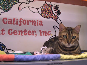 California Cat Center