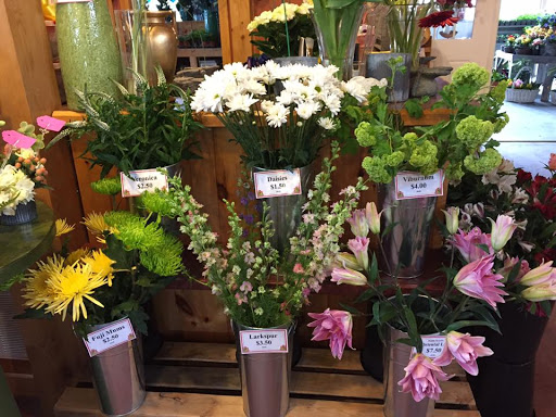 Florist «Freshwater Farms», reviews and photos, 1 Kipkam Rd, Atkinson, NH 03811, USA