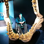 Photo n° 1 de l'avis de Pascal.o fait le 29/11/2023 à 18:37 pour Nausicaa Centre National De La Mer à Boulogne-sur-Mer