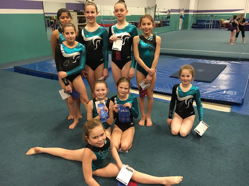Gymnastics Center «Olympiad Gymnastics Training Center - Manchester», reviews and photos, 312 Sovereign Ct, Ballwin, MO 63011, USA