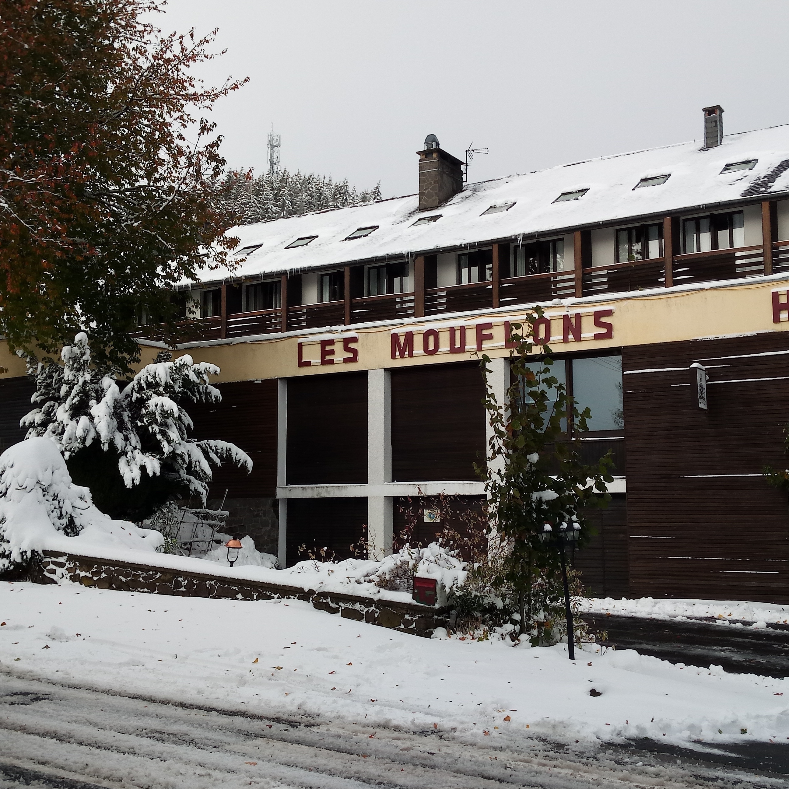 Photo n° 3 de l'avis de flo.a fait le 06/12/2018 à 12:37