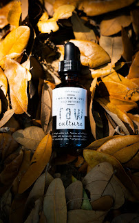 Healing Roots Wellness and Beauty - Photo 5 - Car repair in Tampa, FL, Tampa