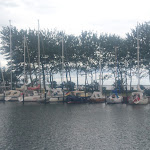 Photo n°2 de l'avis de Kerstin.e fait le 13/07/2020 à 08:42 sur le  Hafenimbiss Kap Orth à Fehmarn