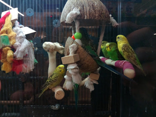 Pet Supply Store «PetSmart», reviews and photos, 5722 S Transit Rd, Lockport, NY 14094, USA