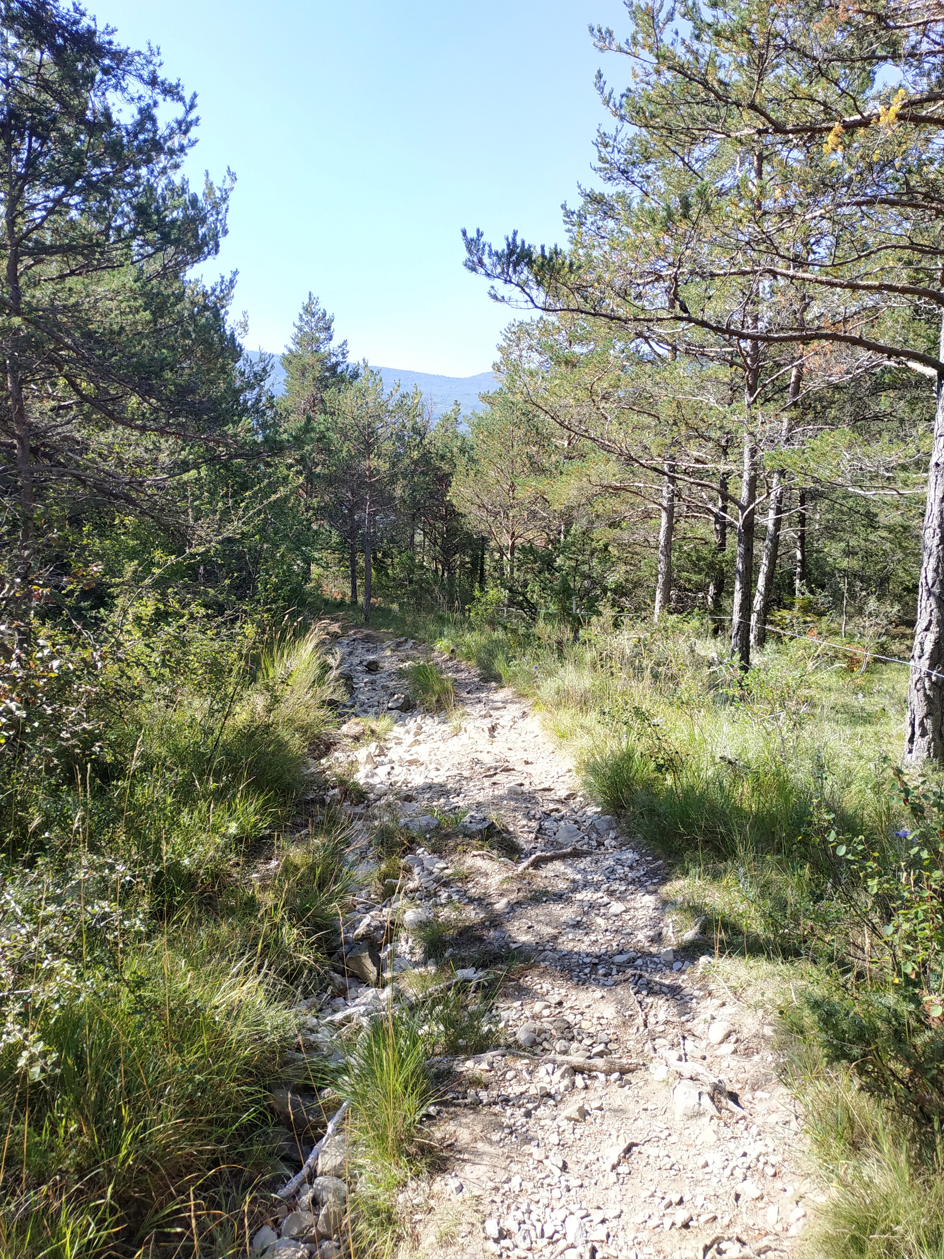 Photo n° 2 de l'avis de Didier.A fait le 11/01/2022 à 10:05