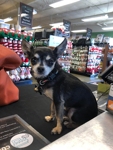 Pet Store «Choice Pet Market», reviews and photos, 4719 N 20th St A30, Phoenix, AZ 85016, USA