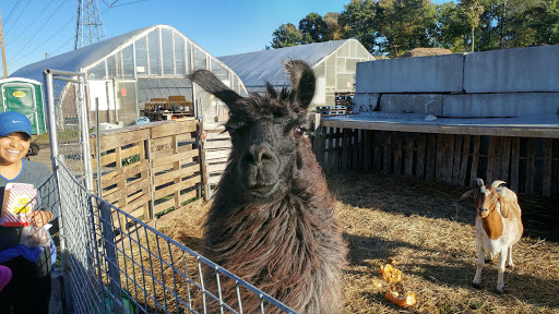 Farm «Fairmount Fruit Farm», reviews and photos, 887 Lincoln Street, Franklin, MA 02038, USA