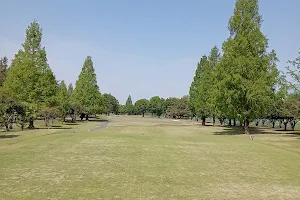 Shin-Tamamura Golf Course image