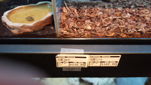 Pet Store «Paws Natural Pet Emporium», reviews and photos, 8551 W Gage Blvd, Kennewick, WA 99336, USA