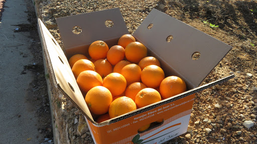 Comprar Naranjas Online: Naranjas Ribera Del Júcar