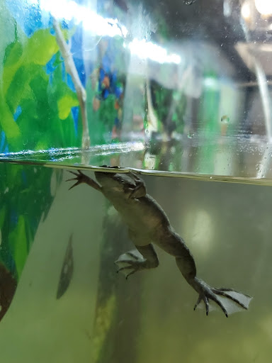 Pet Store «Pet Zone», reviews and photos, 1620 Marion-Mt Gilead Rd, Marion, OH 43302, USA