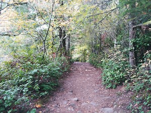 Pinnacle Peak - photo 3