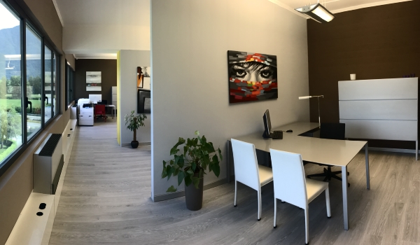ICS Intermedia Consulting