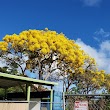 Mayor John H. Wilson Elementary School