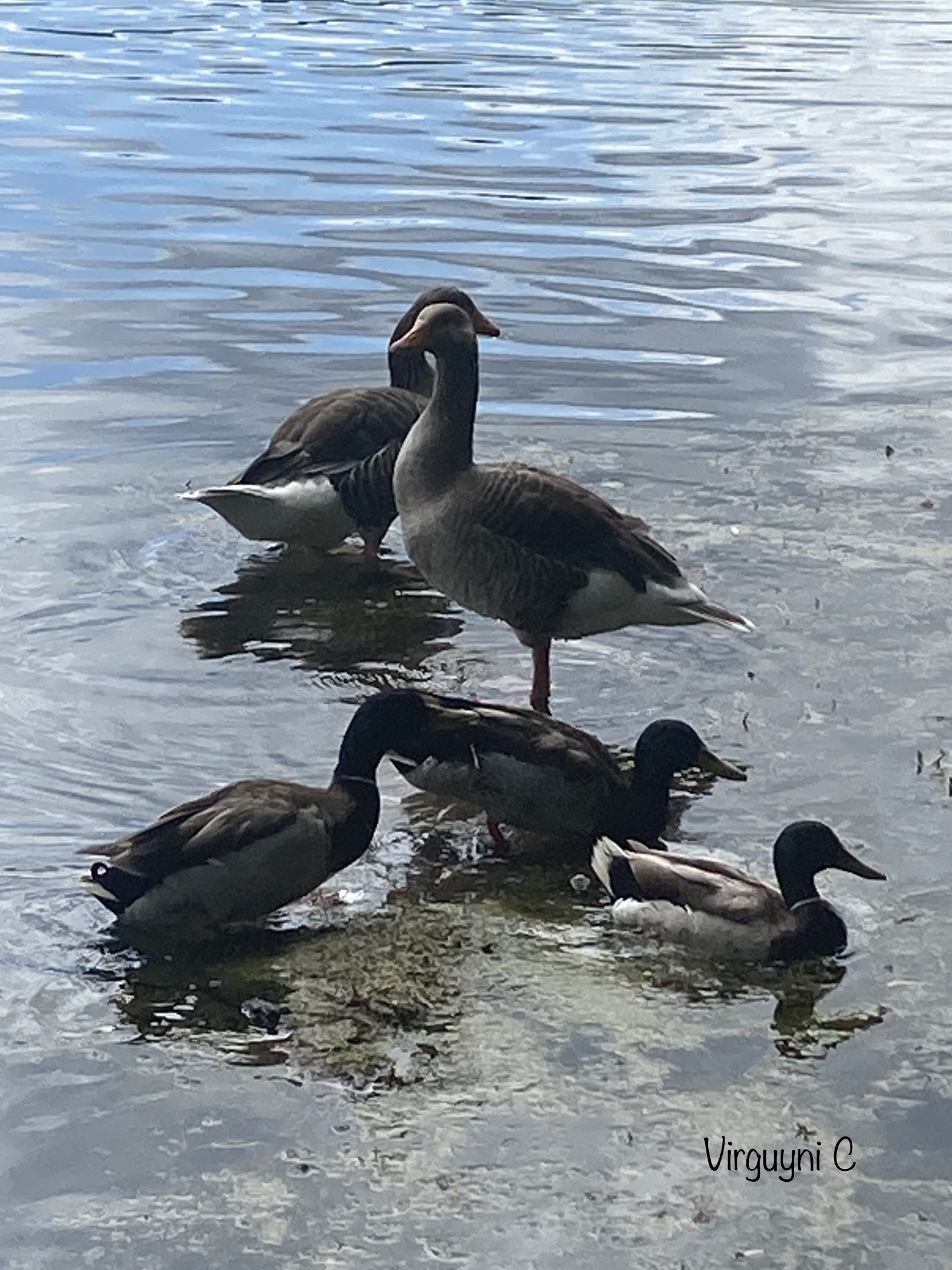 Photo n° 12 de l'avis de Virginie.n fait le 10/06/2022 à 08:34