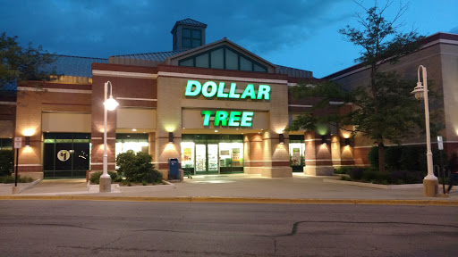 Dollar Store «Dollar Tree», reviews and photos, 1243 E Higgins Rd, Schaumburg, IL 60173, USA