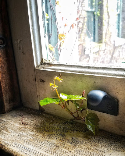 Performing Arts Theater «Collingwood Arts Center Inc», reviews and photos, 2413 Collingwood Blvd, Toledo, OH 43620, USA