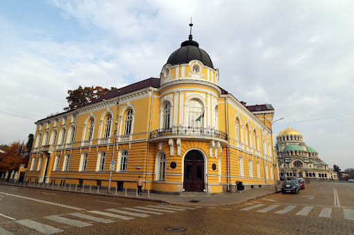 Българска академия на науките (БАН)