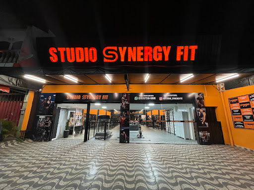 Logo da empresa - Studio Synergy Fit