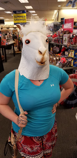 Book Store «Books-A-Million», reviews and photos, 4125 S Cleveland Ave #1200, Fort Myers, FL 33901, USA