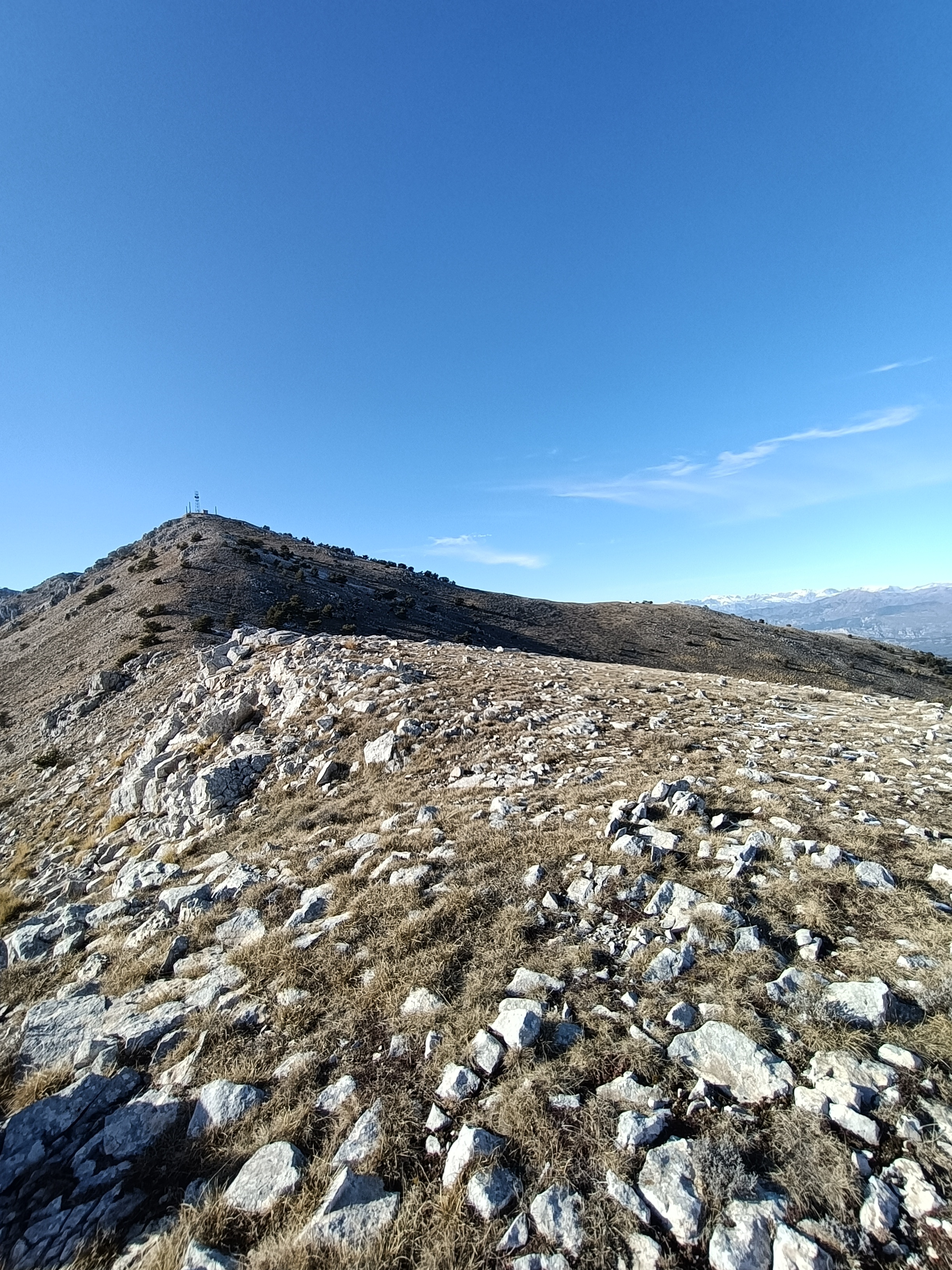 Photo n° 3 de l'avis de Jérôme.U fait le 12/02/2023 à 19:12