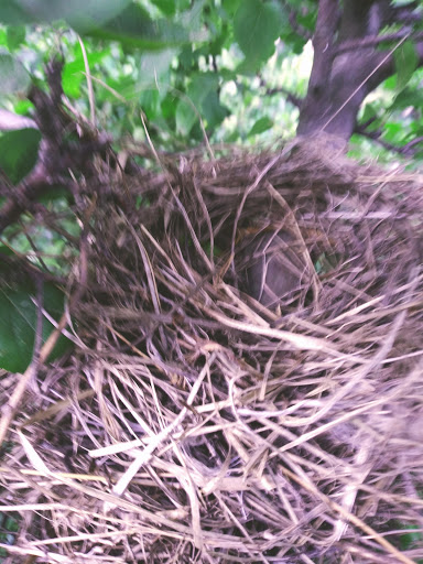 Campground «Winter Island Park», reviews and photos, 50 Winter Island Rd, Salem, MA 01970, USA