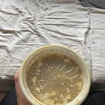 Photo n°3 de l'avis de Nene. fait le 25/07/2022 à 16:49 sur le  Yummy à Hamburg