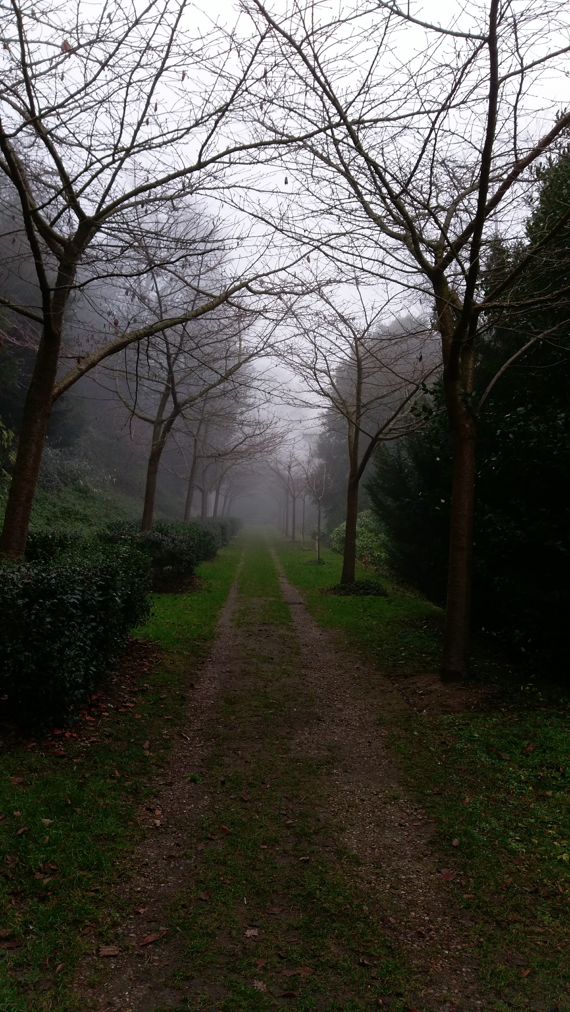 Photo n° 14 de l'avis de Johann. fait le 19/12/2016 à 01:49