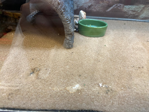 Pet Supply Store «Petco Animal Supplies», reviews and photos, 3012 Bridgepointe Pkwy, San Mateo, CA 94404, USA