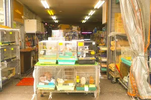 Katayoseyakushicho Pet Shop image