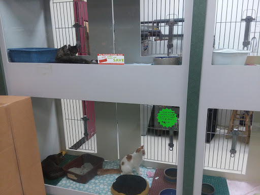 Pet Store «Petland», reviews and photos, 2123 Old Hudson Rd, St Paul, MN 55119, USA