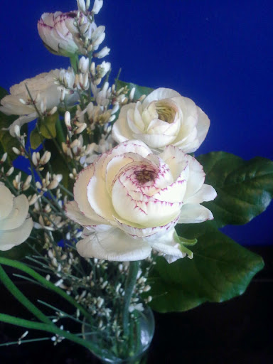 Florist «The Perfect Petal», reviews and photos, 3600 W 32nd Ave Ste B, Denver, CO 80211, USA