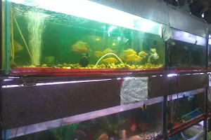 Umama Aquariums image