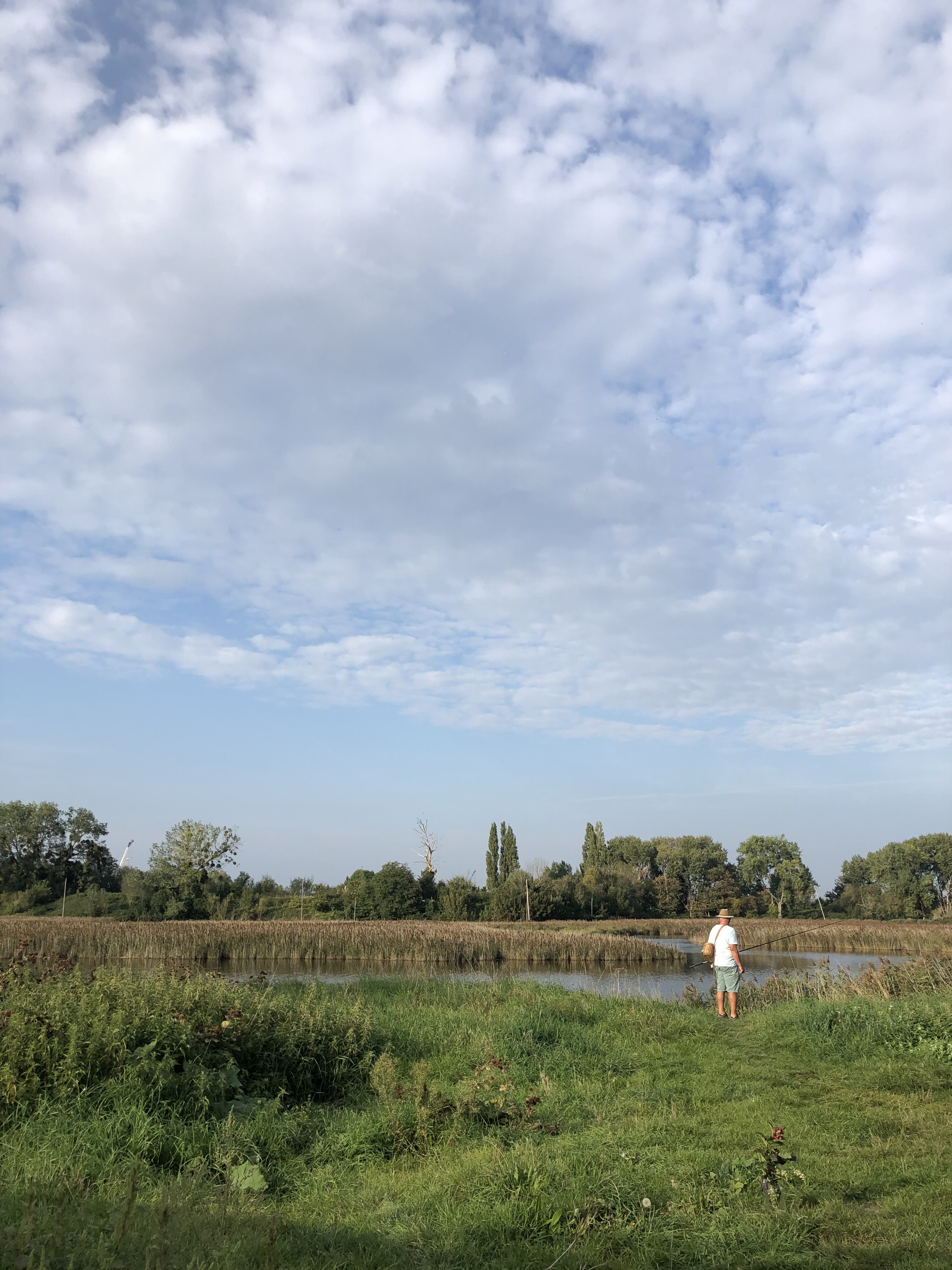 Photo n° 1 de l'avis de Marion. fait le 24/09/2020 à 18:38