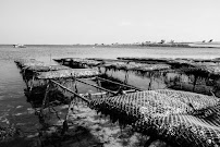 Photos du propriétaire du Restaurant Les Coquillages de l'Ile de Sein - n°8