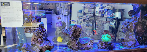 Tropical Fish Store «Aquarium Care Center», reviews and photos, 1105 NJ-35, Ocean Township, NJ 07712, USA