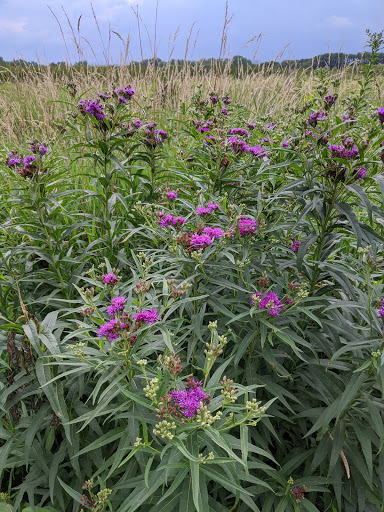 Nature Preserve «Rock Run Preserve - Paul V. Nichols Access», reviews and photos, Essington Rd, Joliet, IL 60435, USA