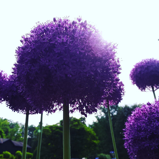 Historical Place «Locust Grove Estate», reviews and photos, 2683 South Rd, Poughkeepsie, NY 12601, USA