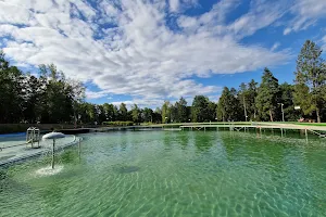 Natural Swimming Pool image