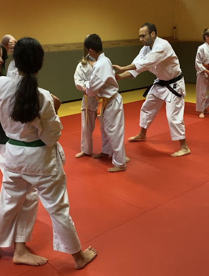 Karate-Ryu Gelterkinden