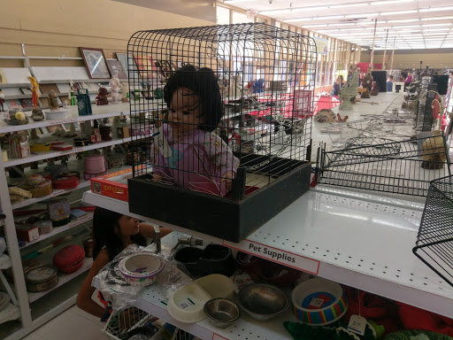 Thrift Store «Savers», reviews and photos, 290 W Fort Lowell Rd, Tucson, AZ 85705, USA