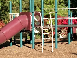 Sunnyside Park - photo 38