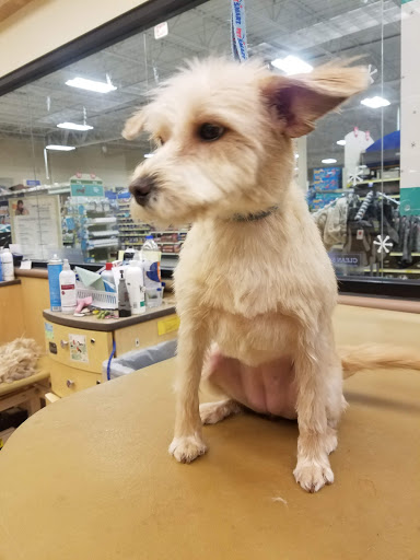 Pet Supply Store «PetSmart», reviews and photos, 1300 John F Kennedy Rd, Dubuque, IA 52002, USA