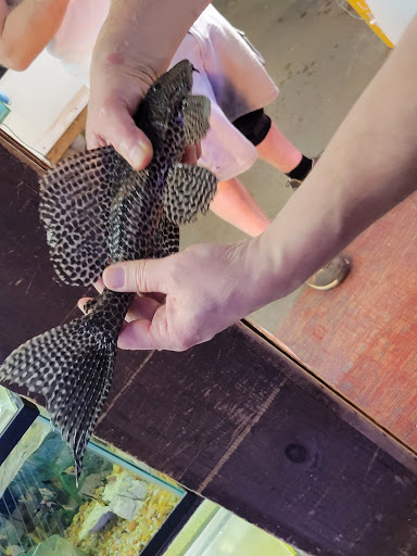 Tropical Fish Store «Emmons Tropical Fish & Ponds», reviews and photos, 1612 Hopmeadow St, Simsbury, CT 06070, USA